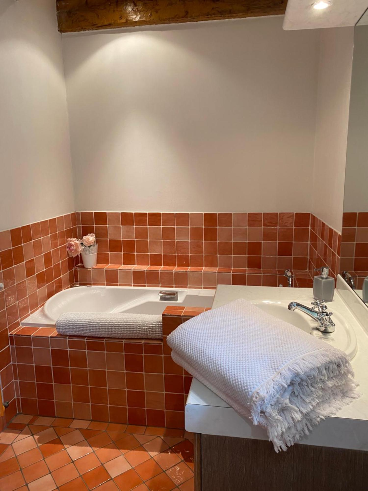 Coulonges Otel Savignac-sur-Leyze Dış mekan fotoğraf